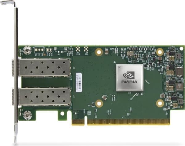 NVIDIA ConnectX-6 Dx EN - Crypto-aktivert uten sikker oppstart - nettverksadapter - PCIe 4.0 x16 - 100 Gigabit QSFP56 x 1