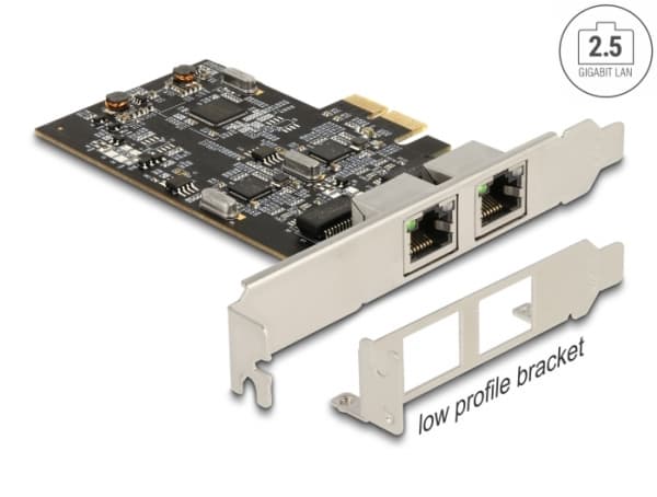 Delock - Nätverksadapter - PCIe 2.1 x2 låg profil - 100M/1G/2.5G Gigabit Ethernet x 2