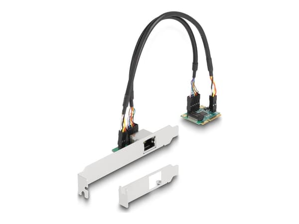 Delock - Nettverksadapter - PCIe Half Mini Card lav profil - 2.5GBase-T x 1