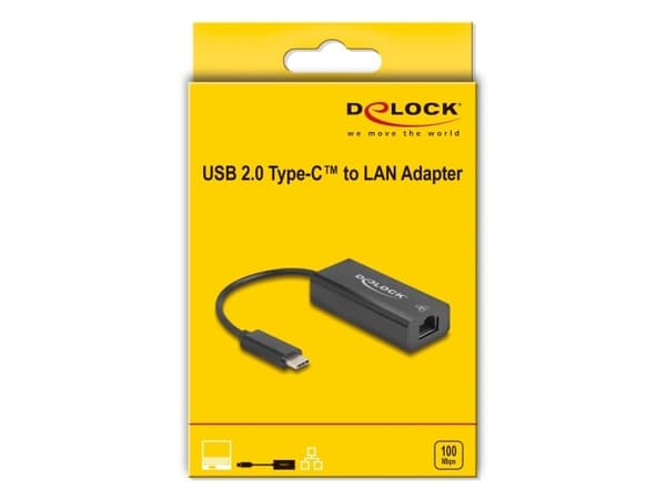 DeLOCK 64306, Kabel, USB Type-C, Ethernet, 100 Mbit/s, Svart