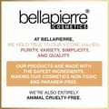 Miniatyrbild 4 av 4: Bellapierre Brow & Liner Duo Set-Eyegel Liner Jet Black and Stayput Brow Gel Chestnut