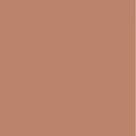 CATRICE ART COLOURS SOMBRA DE OJOS 420 RUSTY ROOBI