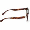 Pikkukuva 6 / 8: Unisex aurinkolasit Guess GU8259-5353N Ø 53 mm