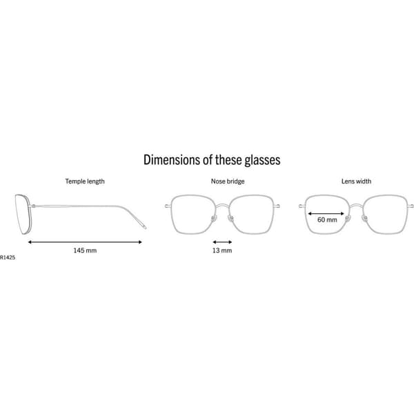 Herrsolglasögon Rodenstock R1425