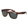 Pikkukuva 1 / 3: Miesten aurinkolasit Superdry SDS-ALFIE 55102P