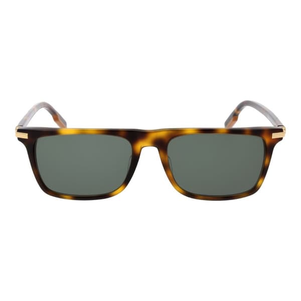 Herrsolglasögon Ermenegildo Zegna EZ0204 5652N