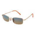 Pikkukuva 1 / 3: Miesten aurinkolasit Funky Buddha FBS2026 51003