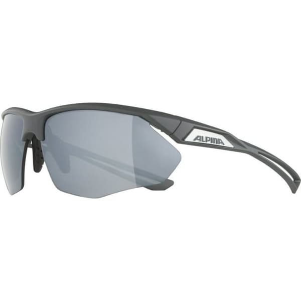Herrsolglasögon Alpina A8635332