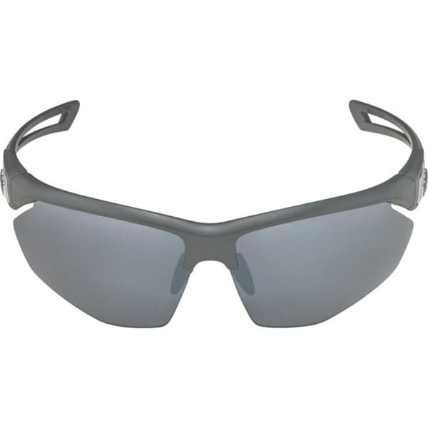 Herrsolglasögon Alpina A8635332