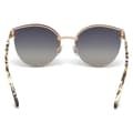Miniatyrbillede 7 af 7: Solbriller Web Eyewear WE0197A ø 59 mm