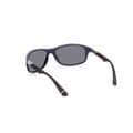 Miniatyrbillede 3 af 3: Solbriller til mænd Web Eyewear WE0294-6492C Ø 64 mm