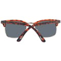 Miniatyrbillede 3 af 3: Solbriller Aviator AVGSR 682TS
