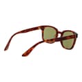 Pikkukuva 3 / 3: Unisex aurinkolasit Serengeti SS575006 ETHAN