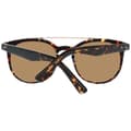 Miniatyrbillede 3 af 3: Solbriller Web Eyewear WE0146 Ø 52 mm