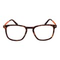 Miniatyrbillede 2 af 3: Brillestel Funky Buddha FBD1016 51004