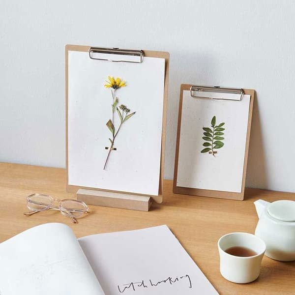 Pressade blommor - Nejlika - 5 till 7,5 cm - Set om 6 - Dekorativ trend