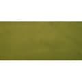 Miniatyrbild 2 av 2: Kupong Simili Läder 66x45 cm Iguane Pistache