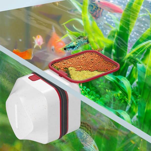 INF Akvarium Alg Magnetisk Rengörare för Glas Upp till 6mm Tjockt
