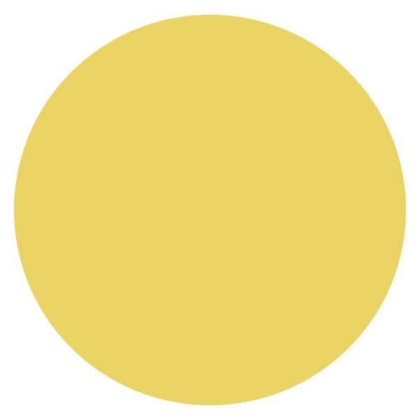 Skrubbande Läppbalsam - Essence - Läppvård Booster - 11g - Vegansk - Fuktgivande