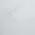 Miniatyrbild 2 av 4: Dermalogica AGE Smart Antioxidant HydraMist 150ml