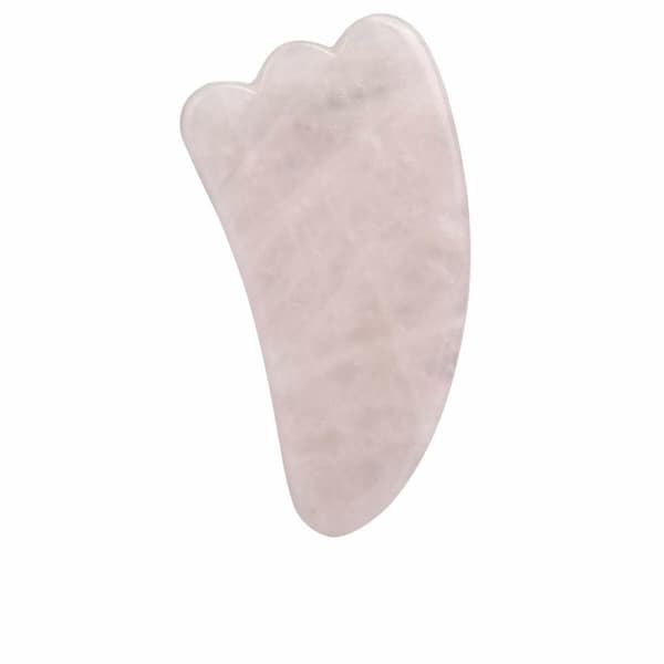 Børste til ansigtsrens Paloma Beauties HIGIENE Y BIENESTAR Pink