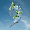 Miniatyrbild 7 av 9: Ansiktsgel Biotherm AQUAPOWER ADVANCED 75 ml