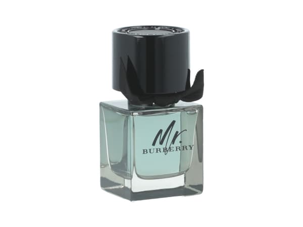 Burberry Mr., Män, 50 ml, Spray
