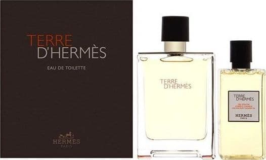 Terre D'Hermes (WT,M,100)