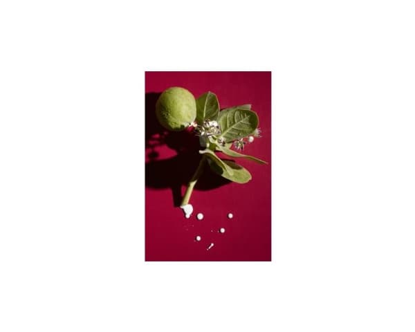 Ahava Apple of Sodom Activating Smoothing Essence - Dame - 100 ml
