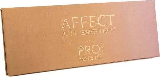 Affect In The Spotlight palette of pressed eye shadows 12x2g