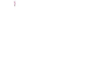 Duo Quick Set a C Striplash Adhesive Dark Tone Glue for false eyelashes 14 g