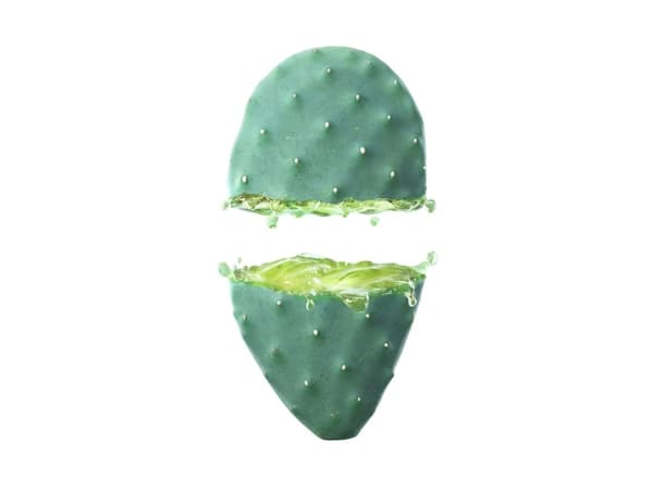 Prickly Pear Hydrating Lotion (W,30)