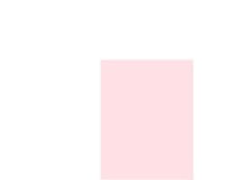 L’Oreal Paris Color Riche Nail Polish W 5ml CP1 Doutzen´s Nude