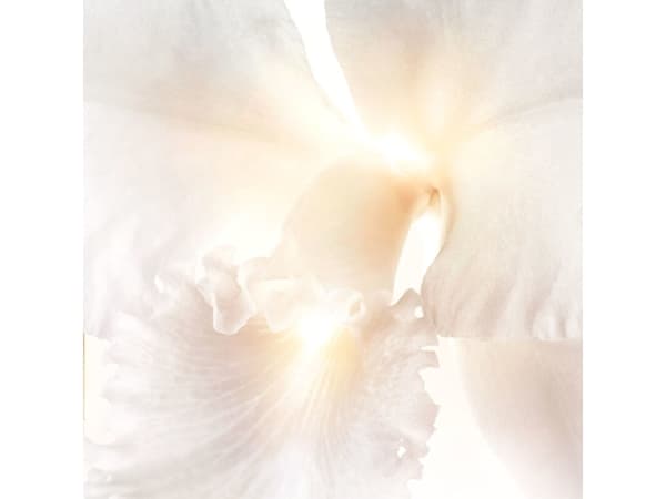 Guerlain Orchidée Impériale Brightening, Ögonserum, 15 ml, Kvinna, Motverkar mörka ringar, Motverkar glåmig hud, Trötthetsmotverkande, Motverkar rynk