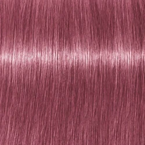 Professional Igora Vibrance Kit 9.5-98 Violet Red Toner