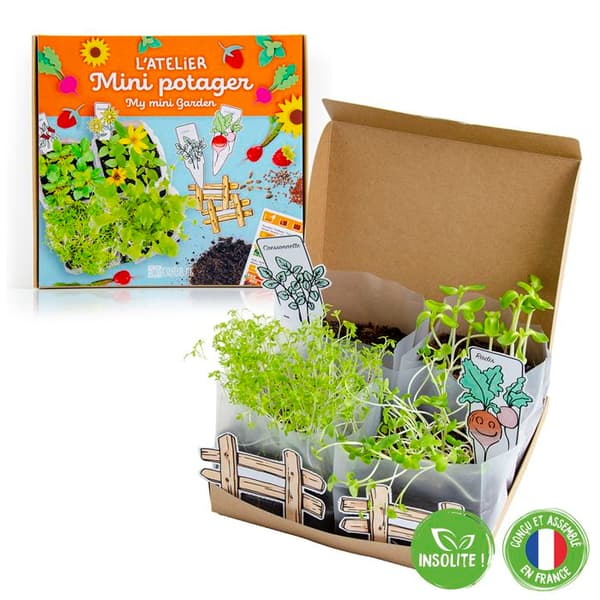 Rädisa och Nasturtium L'ATELIER MINI VOTAGER En liten köksträdgård att odla i ditt rum