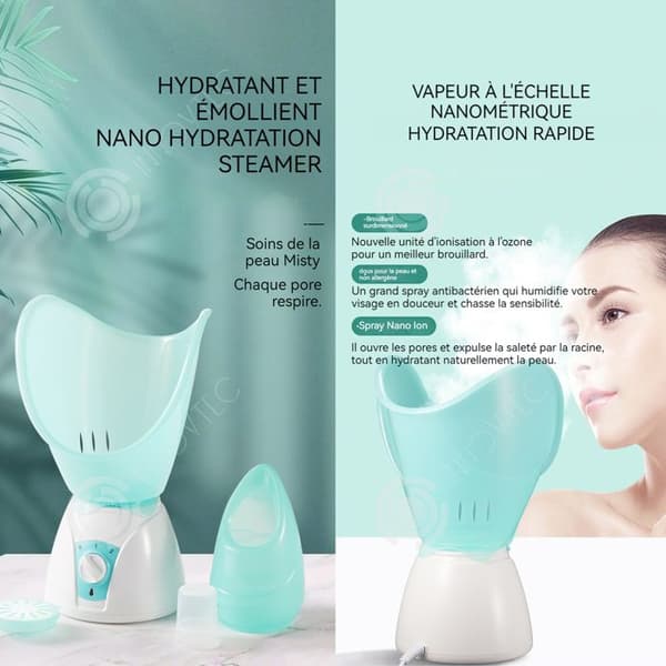 INN Facial steamer 2 hastigheter 15 minuter varaktighet avancerad jonisk steamer hud ansikts steamer anti-rynkvård elektrisk inhalator