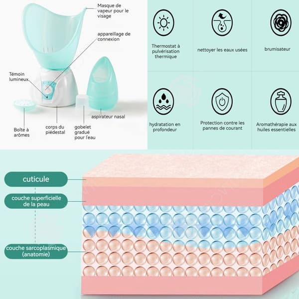 INN Facial steamer 2 hastigheter 15 minuter varaktighet avancerad jonisk steamer hud ansikts steamer anti-rynkvård elektrisk inhalator