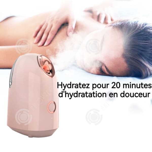 INN Facial Steamer 20 Minuter Längd Avancerad jonisk Steamer för hud Anti-rynkor Ansikts Steamer Elektrisk inhalatorvård