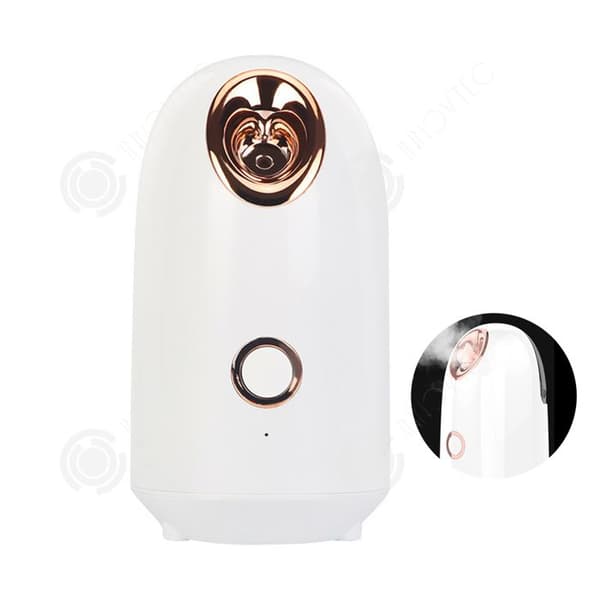 INN Facial steamer 20 minuters varaktighet avancerad jonisk steamer för hud ansikts steamer anti-rynkvård elektrisk inhalator vit