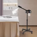 Miniatyrbillede 4 af 4: Ansigtsspa til skønhedssaloner, 800W effekt, varm dampfunktion, fugtgivende effekter