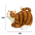 Miniatyrbild 4 av 4: Servettautomat för katt