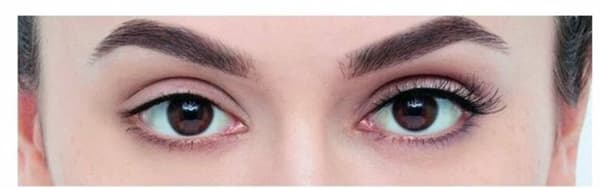 False Eyelashes Fluttery Light 117 Eylure