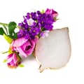 Miniatyrbild 2 av 4: Penselställ / blandningsyta / display - Löv - Vit
