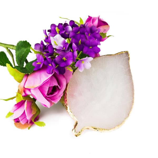 Penselställ / blandningsyta / display - Löv - Vit