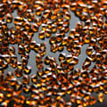 Miniatyrbild 2 av 2: Kristall stenar (Glas) - 1 mm - 200-300 st - 05