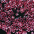 Miniatyrbild 2 av 2: Kristall stenar (Glas) - 1 mm - 200-300 st - 08