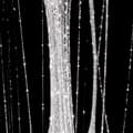Miniatyrbild 5 av 9: Flash / Spider gel - Anniversary Spider - 3g MollyLac