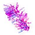 Miniatyrbild 1 av 5: Holografiskt nagelfolie för nageldekorationer - 09