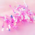 Miniatyrbild 3 av 5: Holografiskt nagelfolie för nageldekorationer - 12